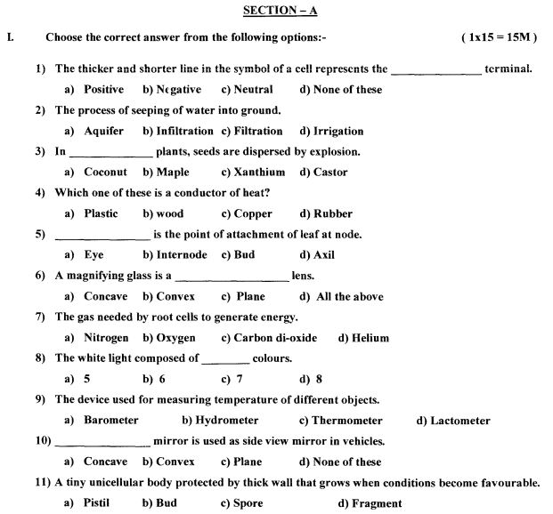 Cbse Grade 6 English Worksheets