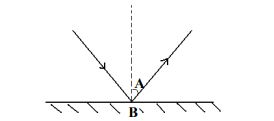 Class_7_Science_Sample_Paper_2