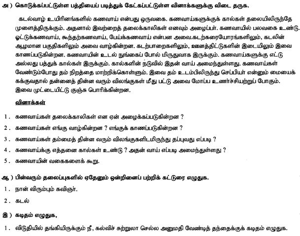 Class_7_Tamil_Question_Paper_3