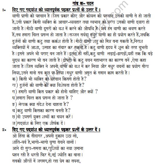 Class_8_Hindi_Sample_Paper_2
