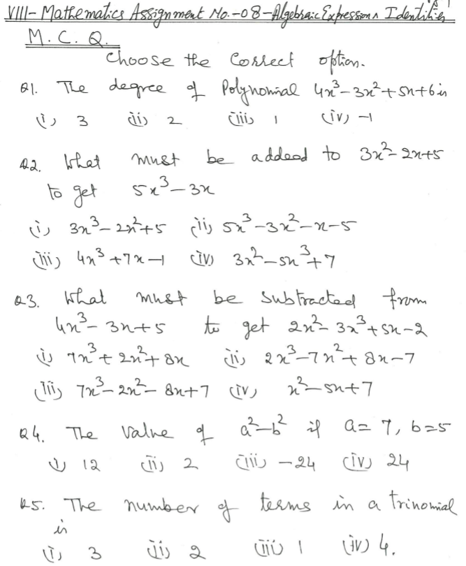 Class_8_Maths_MCQs_1