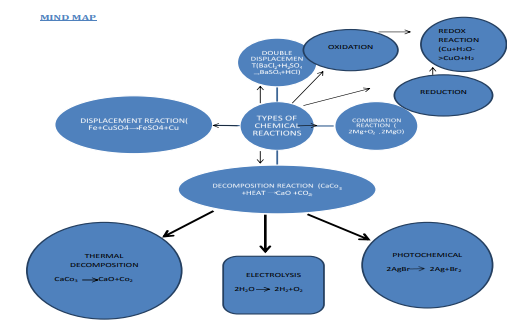 cbse-class-10-science-10