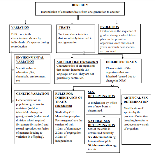 cbse-class-10-science-6