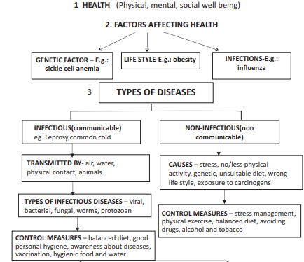 Biology Chart