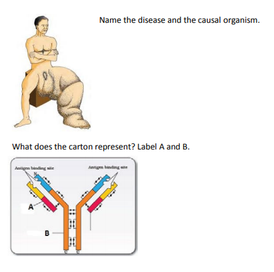 cbse-class-12-biology-human_health_7