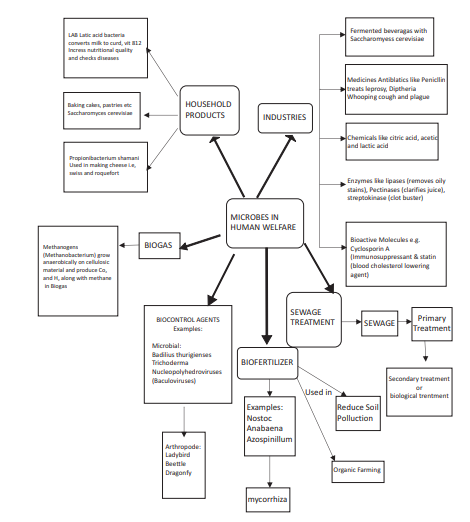 cbse-class-12-biology-molecular-13