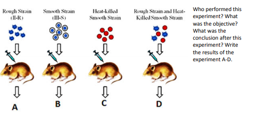 cbse-class-12-biology-molecular-4