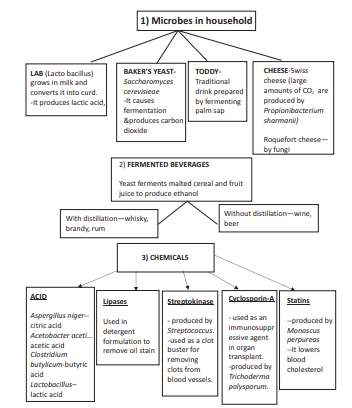 cbse-class-12-biology-molecular-8