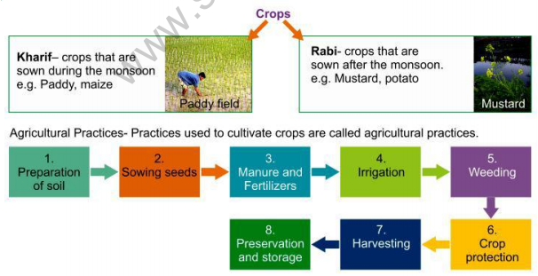 cbse-class-9-science-2