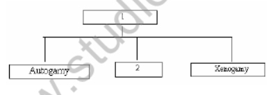 class_12_Biology__Hots_2