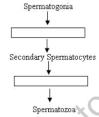 class_12_Biology__Hots_6