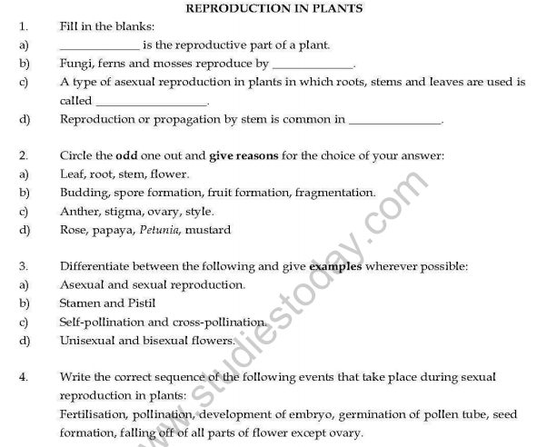 Class 7 Reproduction in Plants Important Questions VBQs