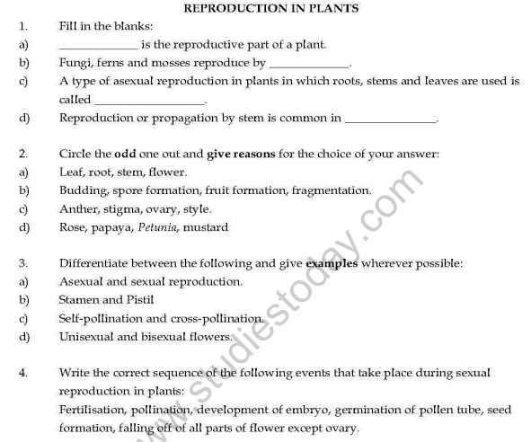 useful-cbse-class-7-useful-science-8