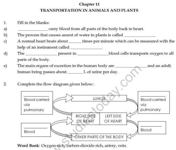 useful-cbse-science-class-7-1