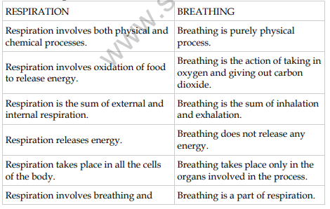 Class 7 Respiration in Organisms Notes for exams