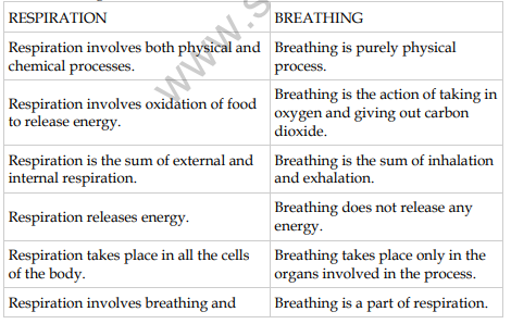 useful-cbse-science-class-7-5