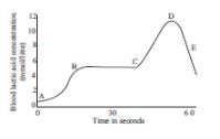 CBSE-Class-10-Biology-Case-Study-Questions-Life-Processes-MCQs-
