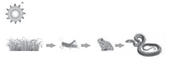 CBSE-Class-10-Biology-Case-Study-Questions-Our-Environment-MCQs-1