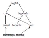 CBSE-Class-10-Biology-Case-Study-Questions-Our-Environment-MCQs-12