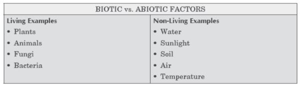 CBSE-Class-10-Biology-Case-Study-Questions-Our-Environment-MCQs-2