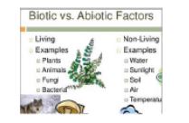 CBSE-Class-10-Biology-Case-Study-Questions-Our-Environment-MCQs-9