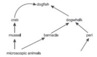 CBSE-Class-10-Biology-Case-Study-Questions-Our-Environment-MCQs