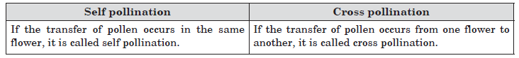 CBSE-Class-10-Biology-How-Do-Organisms-Reproduce-Worksheet-13