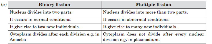 CBSE-Class-10-Biology-How-Do-Organisms-Reproduce-Worksheet-14
