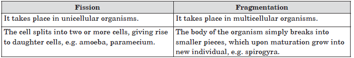 CBSE-Class-10-Biology-How-Do-Organisms-Reproduce-Worksheet-15