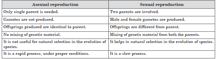 CBSE-Class-10-Biology-How-Do-Organisms-Reproduce-Worksheet-4