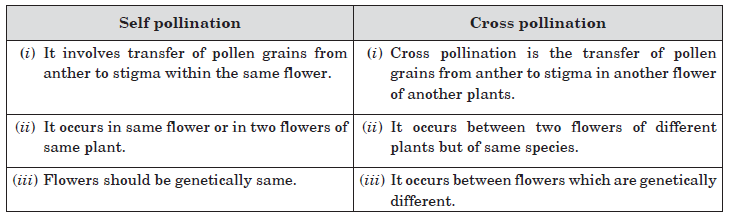 CBSE-Class-10-Biology-How-Do-Organisms-Reproduce-Worksheet-5