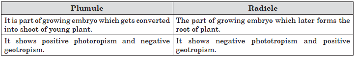 CBSE-Class-10-Biology-How-Do-Organisms-Reproduce-Worksheet-Set-E-1