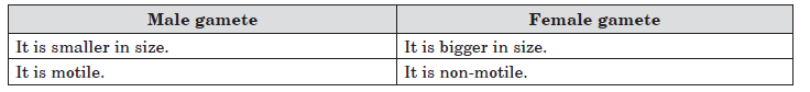 CBSE-Class-10-Biology-How-Do-Organisms-Reproduce-Worksheet-Set-E-2