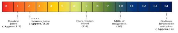 CBSE-Class-10-Chemistry-Acids-Bases-And-Salts-Notes-Set-B