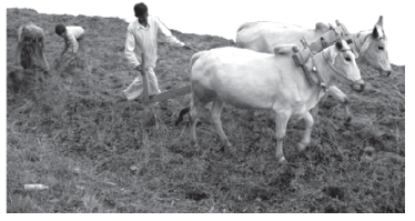 CBSE-Class-10-Economics-Sectors-Of-Indian-Economy-Worksheet-Set-D-2