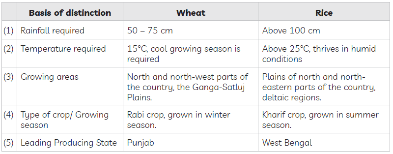 CBSE-Class-10-Geography-Agriculture-Worksheet-Set-C-2