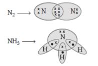 CBSE-Class-10-Science-Carbon-and-its-compounds-Assignment-Set-E-13
