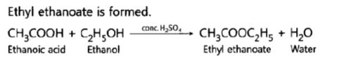 CBSE-Class-10-Science-Carbon-and-its-compounds-Assignment-Set-E-2