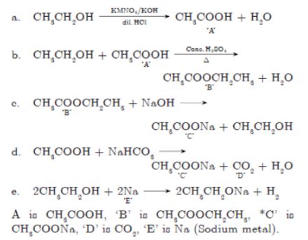 CBSE-Class-10-Science-Carbon-and-its-compounds-Assignment-Set-G-2