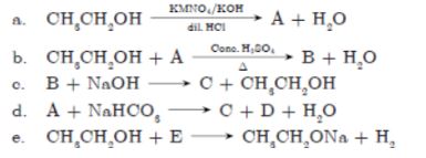 CBSE-Class-10-Science-Carbon-and-its-compounds-Assignment-Set-G-3