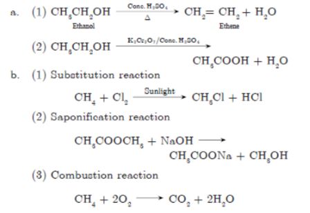 CBSE-Class-10-Science-Carbon-and-its-compounds-Assignment-Set-G-4