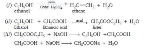 CBSE-Class-10-Science-Carbon-and-its-compounds-Assignment-Set-G-9