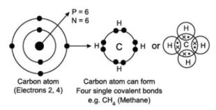 CBSE-Class-10-Science-Case-Study-Questions-Carbon-and-its-Compounds-MCQs-5
