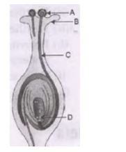 CBSE-Class-10-Science-Case-Study-Questions-How-do-Organisms-Reproduce-Assignment-5
