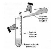 CBSE-Class-10-Science-Chemical-Reactions-and-Equations-Assignment-Set-B-2