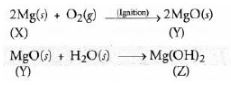 CBSE-Class-10-Science-Chemical-Reactions-and-Equations-Assignment-Set-B-4