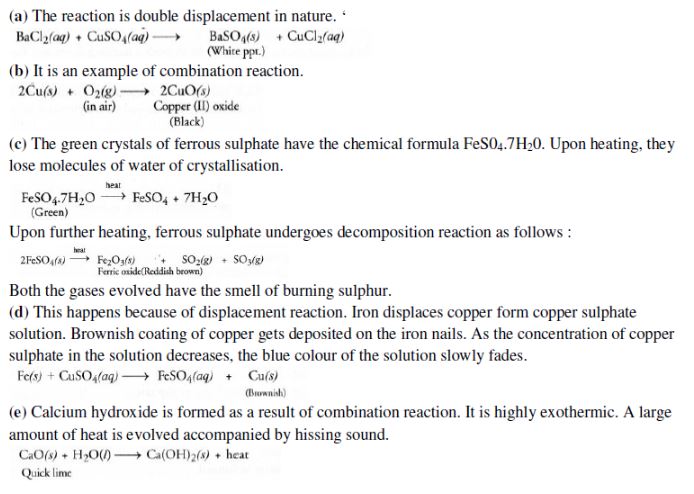 CBSE-Class-10-Science-Chemical-Reactions-and-Equations-Assignment-Set-B-5