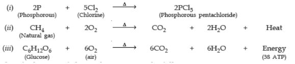 CBSE-Class-10-Science-Chemical-Reactions-and-Equations-Assignment-Set-D-2
