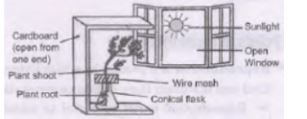 CBSE Class 10 Science Control and Coordination Assignment Set C