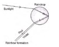 CBSE-Class-10-Science-Human-Eye-and-Colorful-World-Assignment-Set-E-1